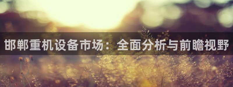 顺盈娱乐福彩：邯郸重机设备市场：全面分析与前瞻视野