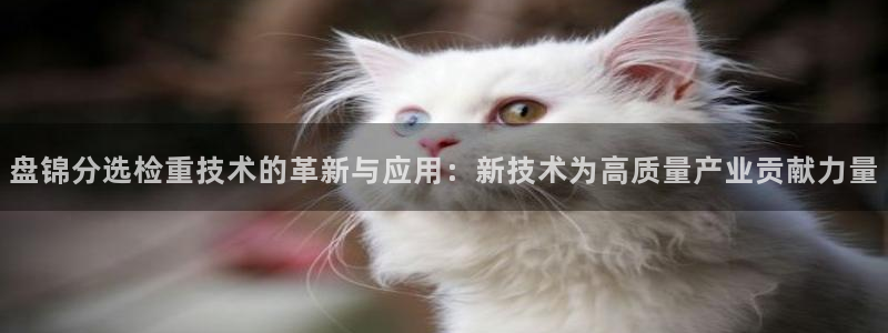 盈顺娱乐休闲室电话