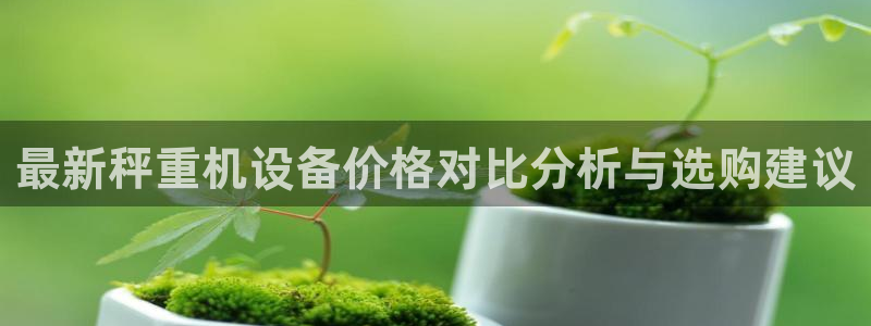 顺盈2娱乐主管是谁