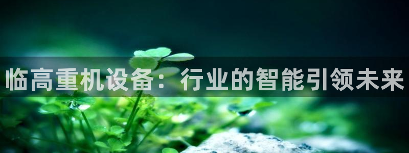 顺盈娱乐主管右原判官333OO