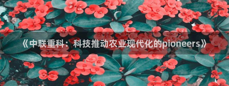 顺盈娱乐招商天原判官333OO：《中联重科：科技推动农业现代