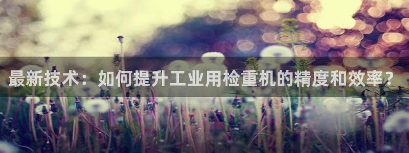 顺盈娱乐平台登录：最新技术：如何提升工业用检重机的精度和效率
