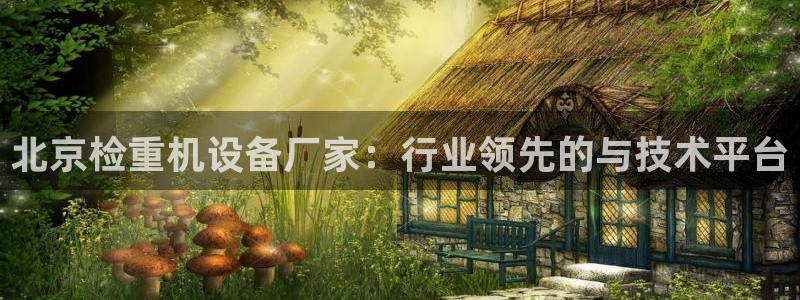 顺盈娱乐开户：北京检重机设备厂家：行业领先的与技术平台