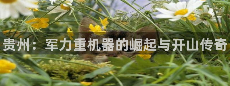 顺盈娱乐行求威判官333OO：贵州：军力重机器的崛起与开山传