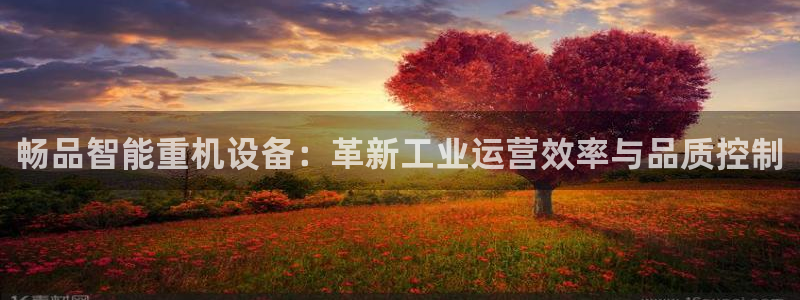 顺盈娱乐平台注册：畅品智能重机设备：革新工业运营效率与品质控