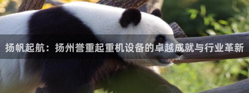 顺盈娱乐主管=天神779O3：扬帆起航：扬州誉重起重机设备的
