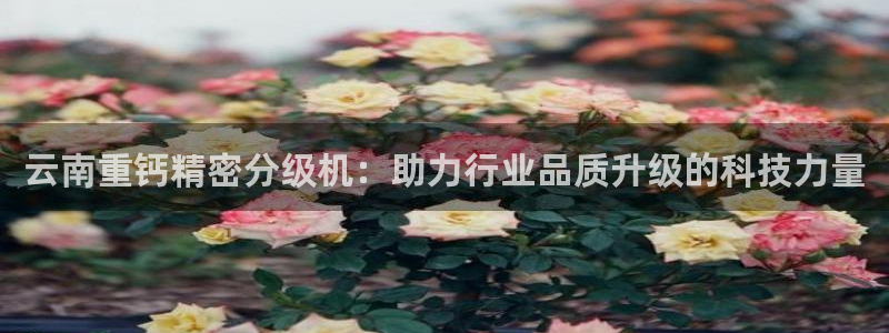顺盈娱乐下载官网最新版：云南重钙精密分级机：助力行业品质升级