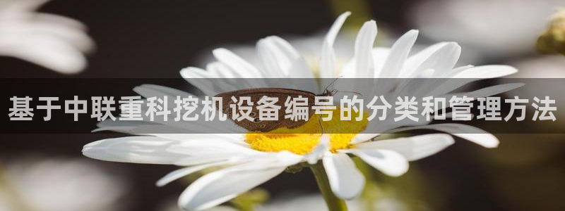 顺盈娱乐下载官网