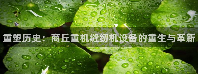 顺盈娱乐注册：重塑历史：商丘重机缝纫机设备的重生与革新