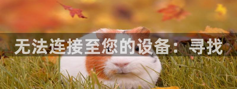 应县盈顺休闲娱乐室：无法连接至您的设备：寻找