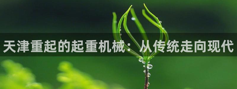 盈顺休闲娱乐室抖音团购：天津重起的起重机械：从传统走向现代