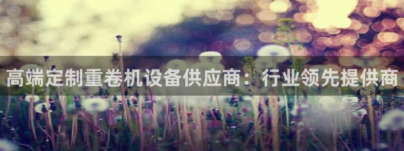 顺盈娱乐彩票官网
