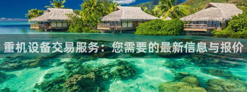 顺盈娱乐主管后原判官333OO：重机设备交易服务：您需要的最