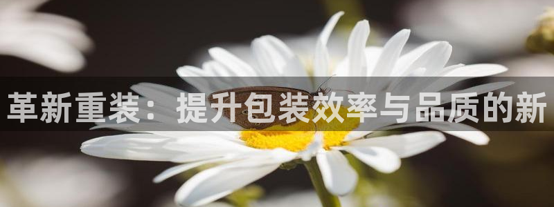 顺盈娱乐登录地址在哪看：革新重装：提升包装效率与品质的新