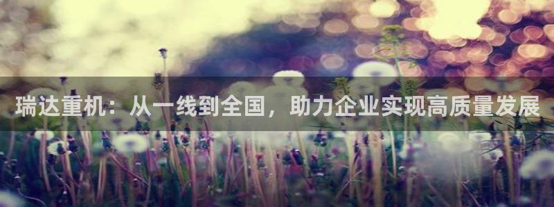顺盈娱乐主管怎么样：瑞达重机：从一线到全国，助力企业实现高质
