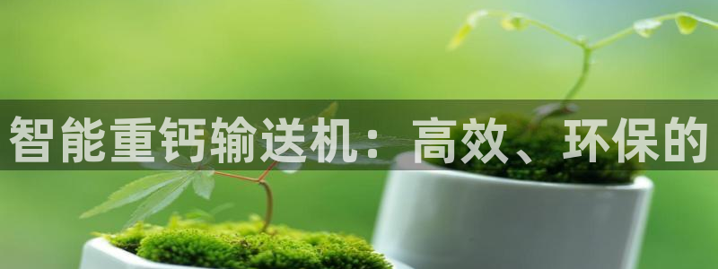 顺盈娱乐注册登录地址：智能重钙输送机：高效、环保的