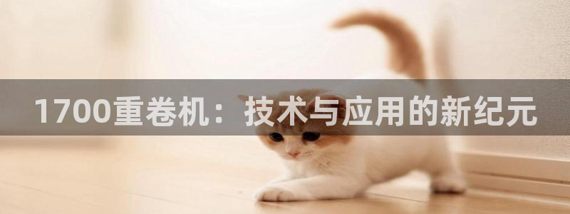 清远顺盈娱乐集团实习：1700重卷机：技术与应用的新纪元