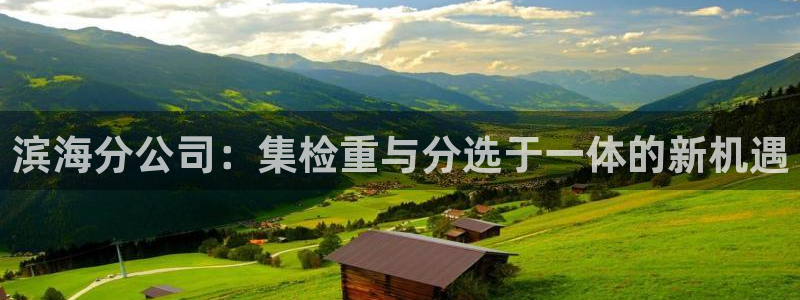 顺盈娱乐如拔7276O：滨海分公司：集检重与分选于一体的新机