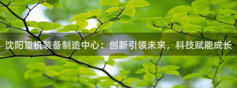 顺盈娱乐开户