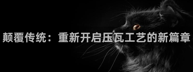 顺盈娱乐解答7276o：颠覆传统：重新开启压瓦工艺的新篇章