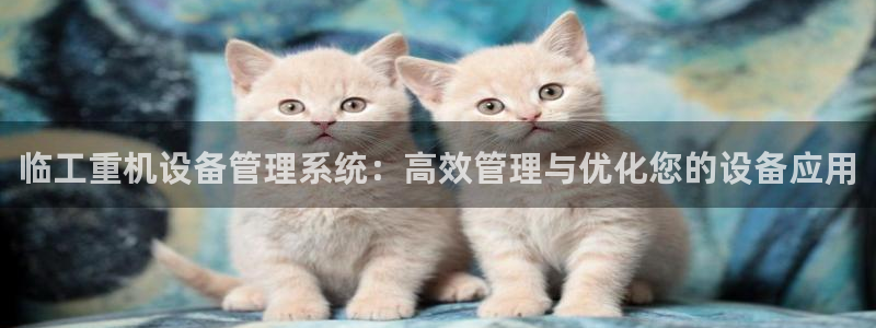 盈顺棋牌娱乐室：临工重机设备管理系统：高效管理与优化您的设备
