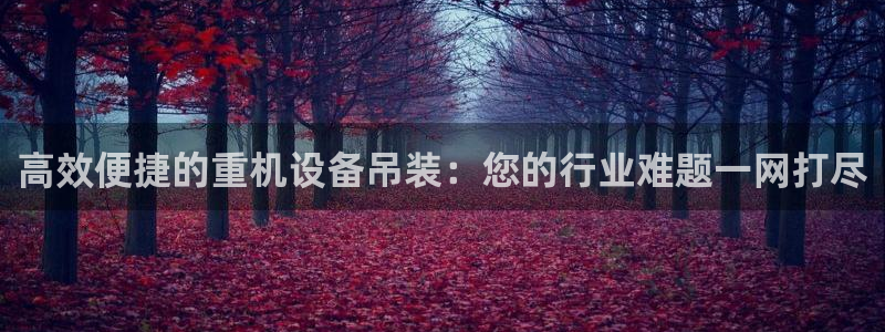 顺盈时代广场娱乐城：高效便捷的重机设备吊装：您的行业难题一网