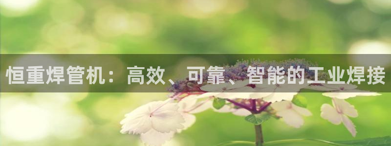 顺盈2娱乐滴qv382223：恒重焊管机：高效、可靠、智能的