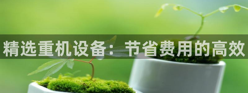 顺盈娱乐平台下载安装：精选重机设备：节省费用的高效