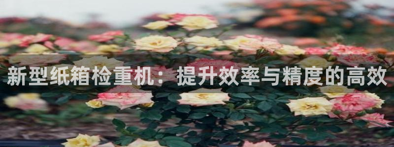 顺盈娱乐最高代理：新型纸箱检重机：提升效率与精度的高效