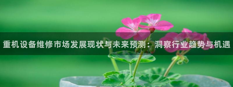 清远顺盈娱乐集团：重机设备维修市场发展现状与未来预测：洞察行