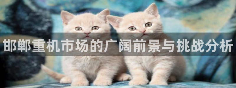 盈顺休闲娱乐室：邯郸重机市场的广阔前景与挑战分析