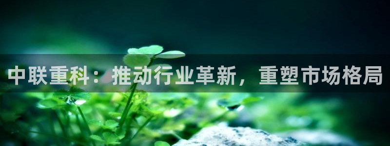 盈顺休闲娱乐室地址：中联重科：推动行业革新，重塑市场格局