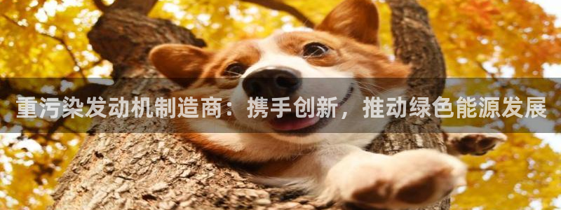顺盈广场娱乐会所地址：重污染发动机制造商：携手创新，推动绿色