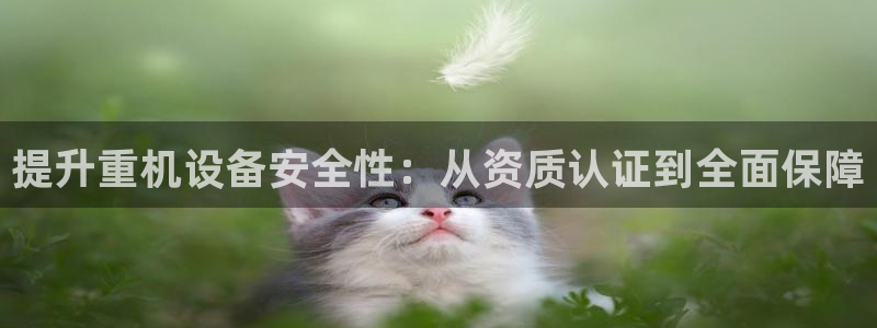 顺盈娱乐找527b.cn升哥：提升重机设备安全性：从资质认证