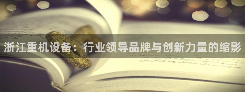 顺盈娱乐注册平台是什么：浙江重机设备：行业领导品牌与创新力量
