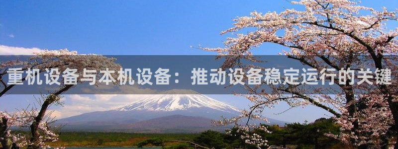 顺盈娱乐平台官网下载：重机设备与本机设备：推动设备稳定运行的