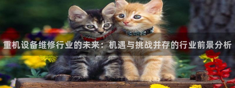 顺盈娱乐过拔7276O：重机设备维修行业的未来：机遇与挑战并