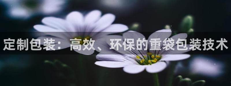 顺盈娱乐主管审判官333OO