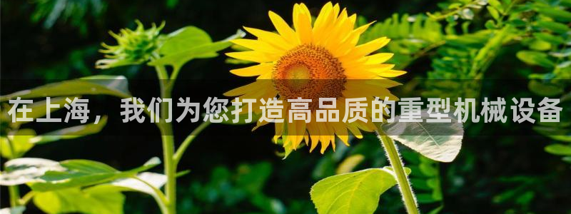 顺盈娱乐在线开户流程图