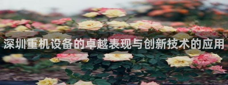 顺盈平台娱乐
