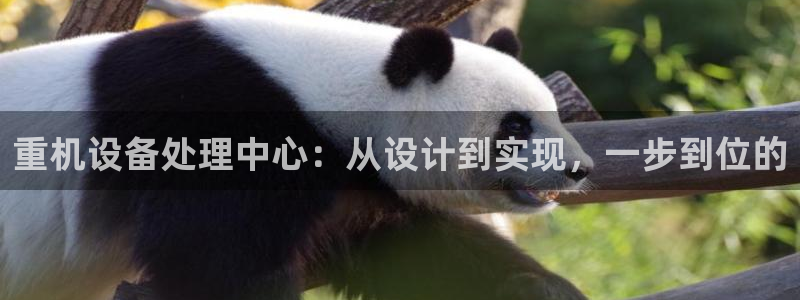 顺盈娱乐28是什么?