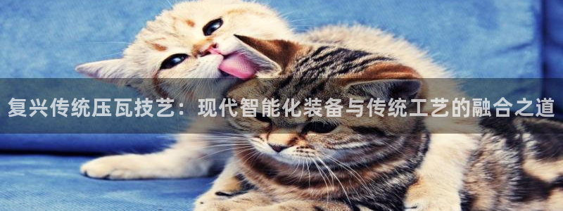 顺盈娱乐登录平台官网：复兴传统压瓦技艺：现代智能化装备与传统