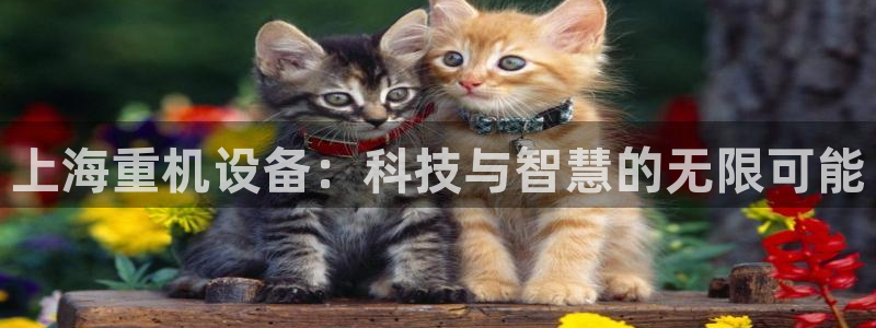 盈顺娱乐休闲室地址：上海重机设备：科技与智慧的无限可能