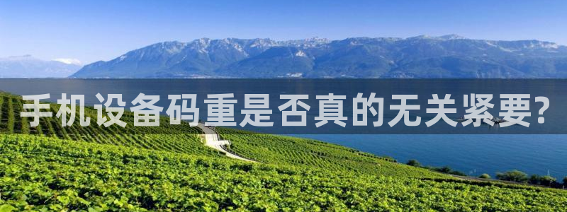 顺盈娱乐登录地址在哪儿：手机设备码重是否真的无关紧要?