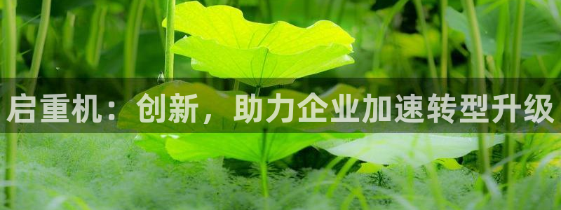 顺盈2娱乐：启重机：创新，助力企业加速转型升级