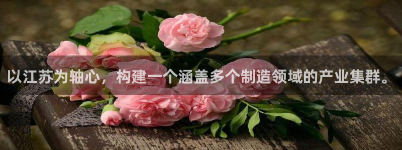 顺盈娱乐注册问一问：以江苏为轴心，构建一个涵盖多个制造领域的
