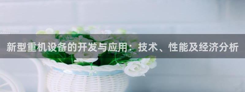 盈顺棋牌娱乐室电话多少：新型重机设备的开发与应用：技术、性能
