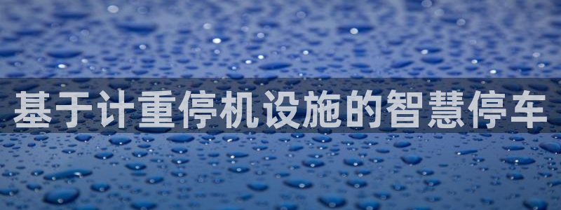 顺盈娱乐在线注册：基于计重停机设施的智慧停车