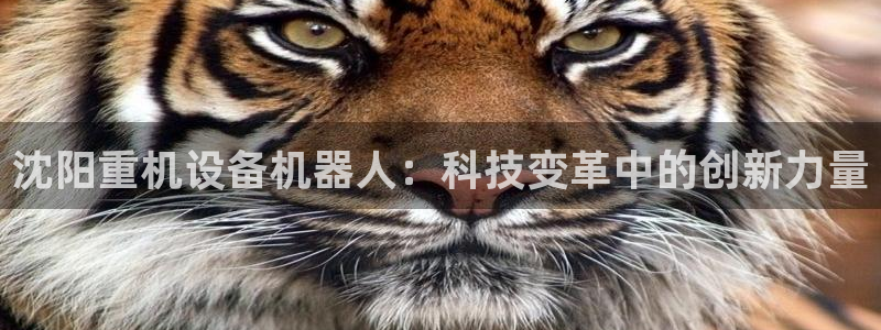 顺盈娱乐团购怎么样：沈阳重机设备机器人：科技变革中的创新力量