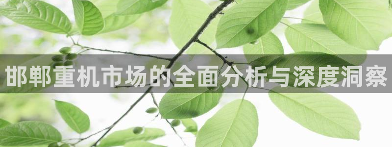 顺盈娱乐是什么：邯郸重机市场的全面分析与深度洞察